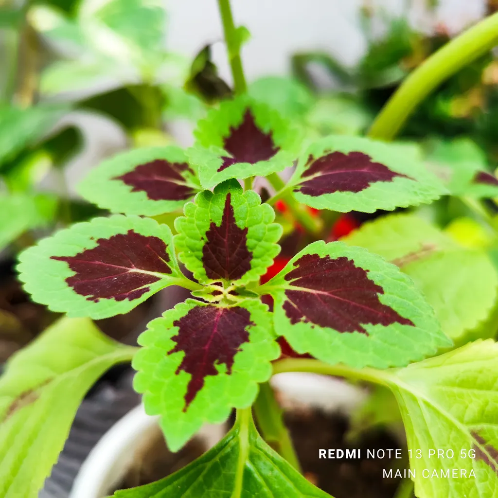 گوشی موبایل شیائومی مدل Redmi Note 13 Pro 5G دو سیم کارت ظرفیت 512 گیگابایت و رم 12 گیگابایت