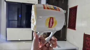 تجریه خرید همزن گوسونیک مدل Forother