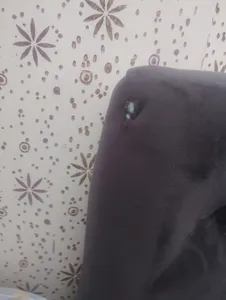 تجریه خرید تخت خواب دونفره مدل zhinos سایز 160×200 سانتی متر