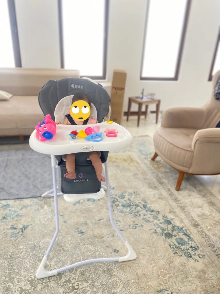 صندلی غذاخوری کودک دلیجان مدل کیوت پلاس
