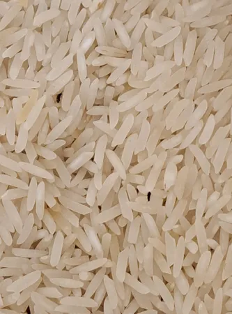 برنج طارم فجر - 10 کیلوگرم