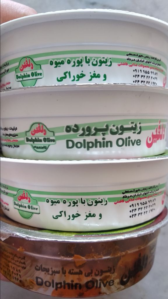 مشخصات، قیمت و خرید زیتون پرورده لبنانی دلفین - 75 گرم | دیجی‌کالا