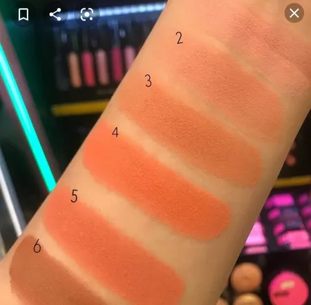 رژ گونه کالیستا مدل Color and Art شماره B02