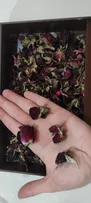 غنچه گل رز خشک مدل sanaz