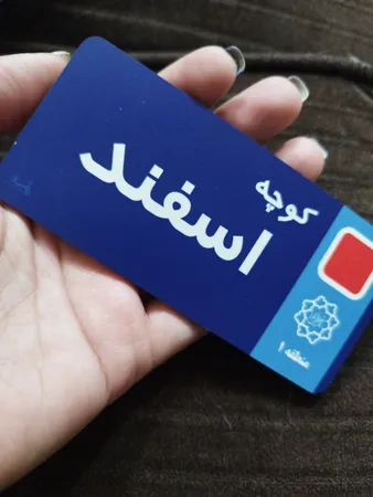 نشانگر کتاب لوکسینو مدل ماه تولد طرح اسفند بسته 2 عددی