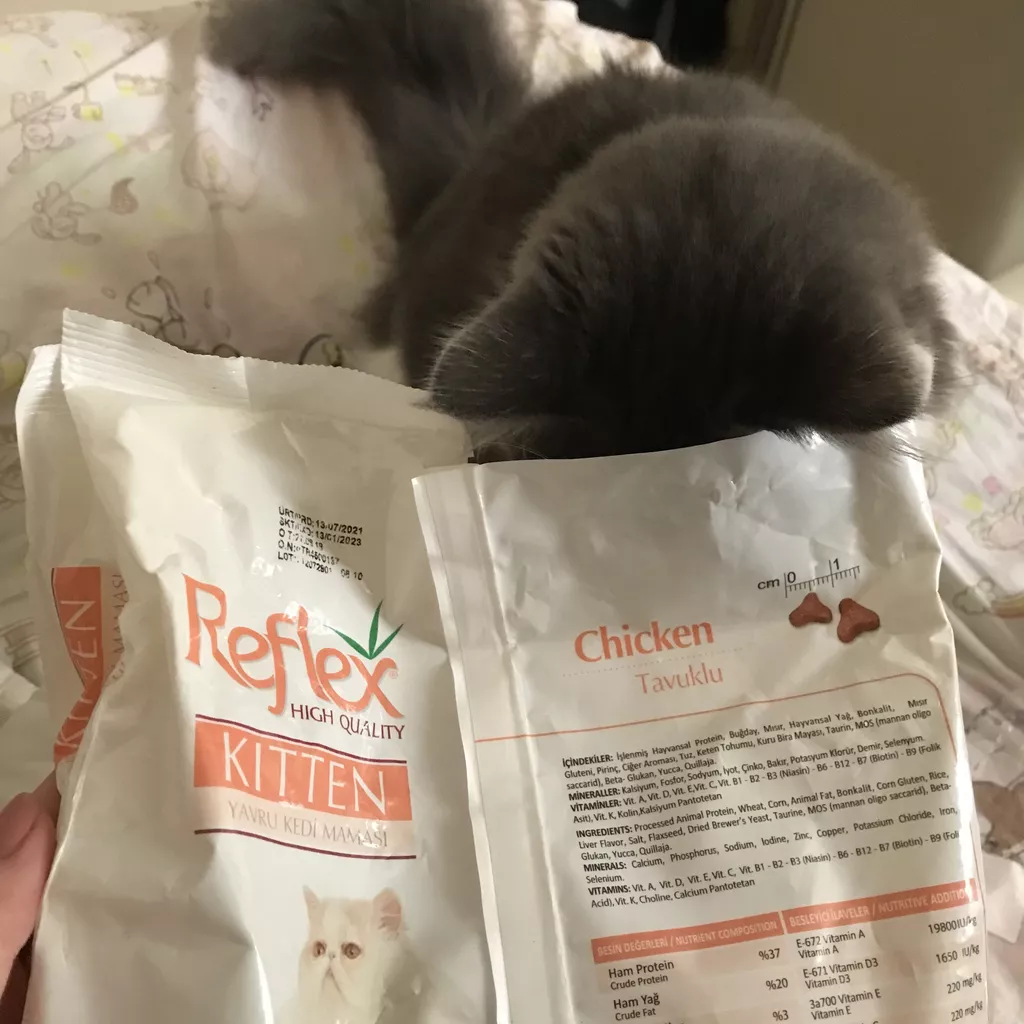 غذای خشک بچه گربه رفلکس مدل kitten وزن 3 کیلوگرم