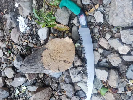 اره باغبانی ساوورایی مدل L50