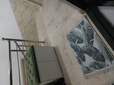 جاکفشی مدل آلما 510