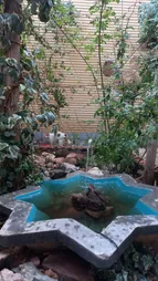 پمپ آب آکواریوم سوبو مدل WP-280