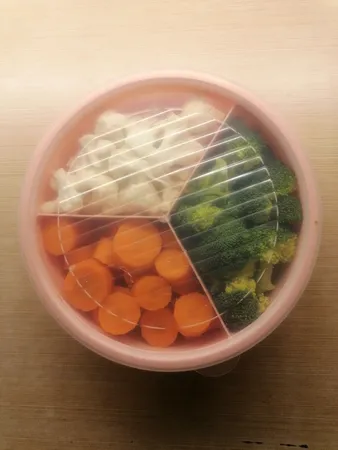 ظرف نگهدارنده غذا مدل نارون