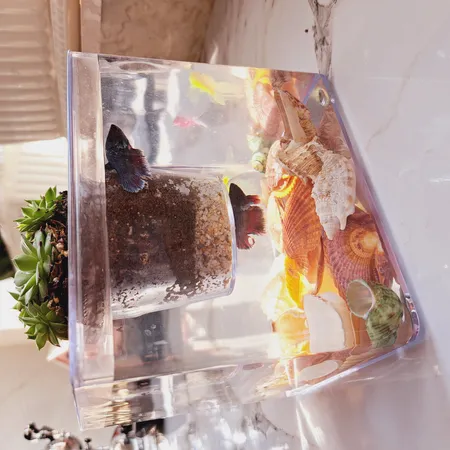 گلدان طرح آکواریوم کد ck106