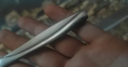 ست کارد و چنگال میوه خوری 12 پارچه مدل ماینز