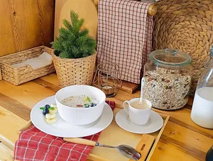 تجریه خرید سینی ایکیا مدل OSTBIT