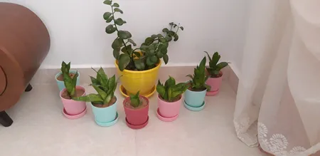 گلدان مدل آیما 11