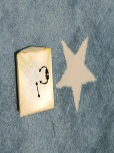 تجریه خرید پیرسینگ بینی زنانه پایتخت مدل PS209