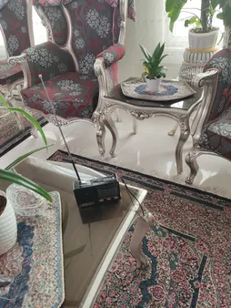 رادیو گولون مدل RX-8866BT