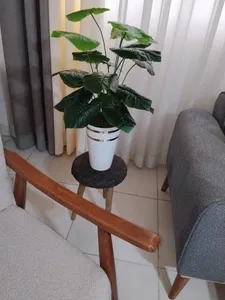 تجریه خرید گلدان به همراه گل مصنوعی مدل لوبیا 18bargi