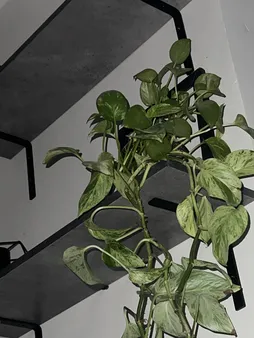 پایه نگهدارنده شلف کد H-11 مجموعه 2عددی