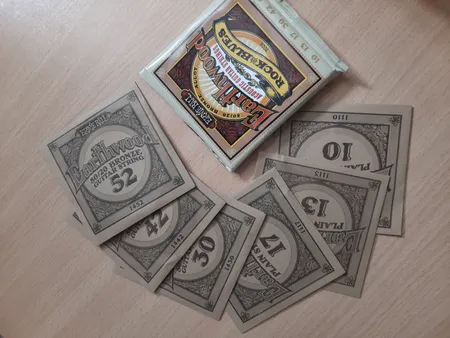 سیم گیتار آکوستیک ارنی بال مدل 2008