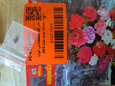 بذر گل شمعدانی الوان سانیا سید مدل SH3