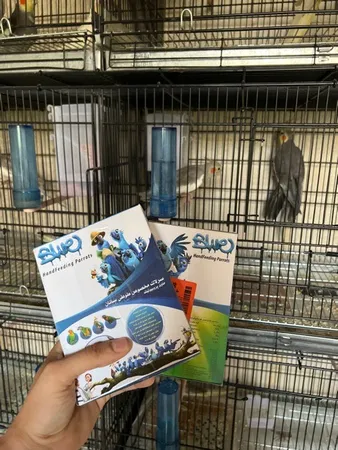 غذای کمکی مخصوص طوطی سانان بلو کد 003