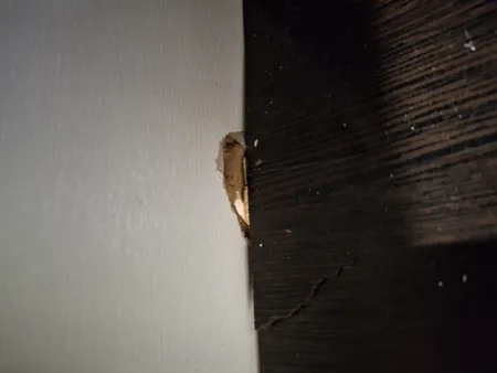 جاکفشی مدل BL0088