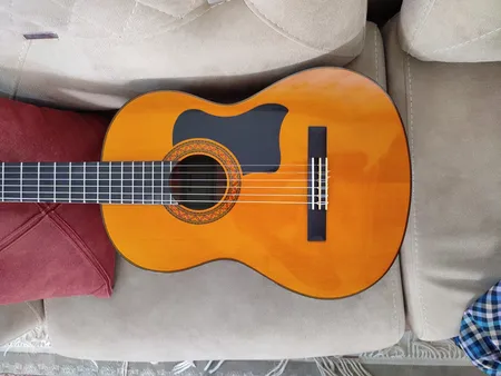 گلپیدور گیتار مدل B050