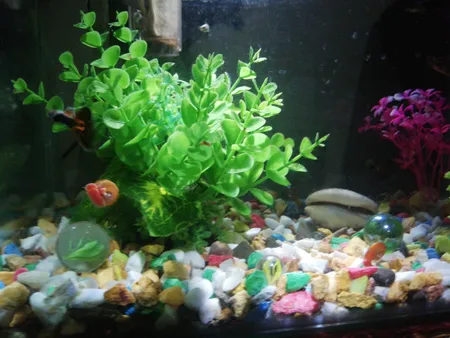 سنگ تزیینی آکواریوم مدل 5col وزن 1کیلوگرم