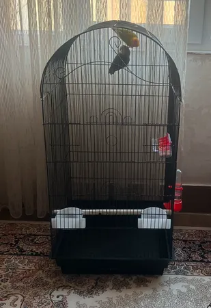 قفس عروس هلندی مدل 1034