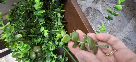 دسته گل مصنوعی مدل آبشار کد 486