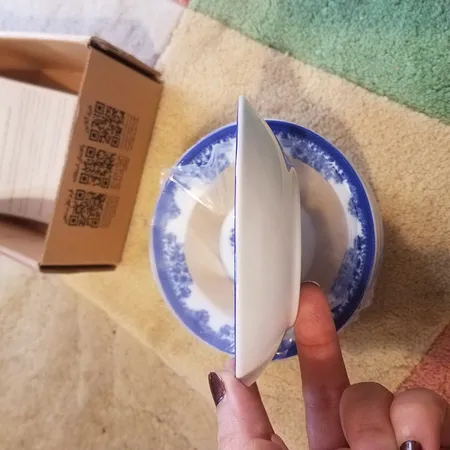 نعلبکی چینی زرین ایران مدل فلورانس درجه یک بسته 6 عددی