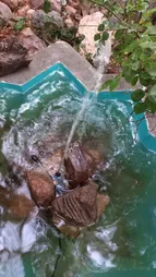 پمپ آب آکواریوم سوبو مدل WP-280