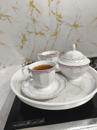 سرویس غذاخوری 103 پارچه چینی زرین ایران سری نئوکلاسیک مدل فرانسیس درجه یک