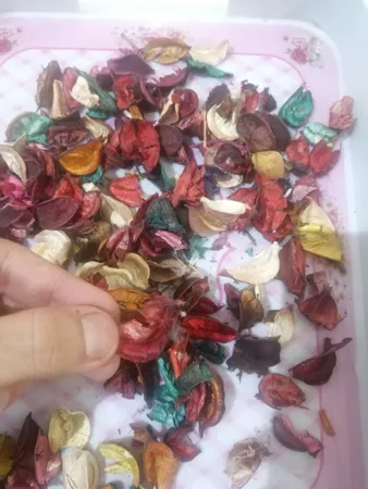 گل خشک بسته بندی مدل رنگارنگ