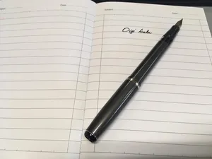 تجریه خرید خودنویس دلار مات مدل 717i