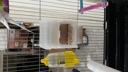 ظرف دانه مکانیزه کد 001