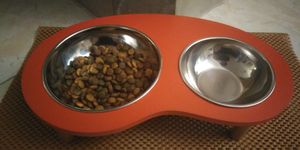 ظرف آب و غذای سگ و گربه مدل دایره
