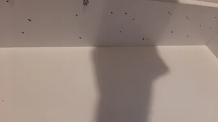 دراور مدل FH168