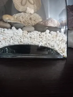 شن تزیینی مدل 365 وزن 1000گرم