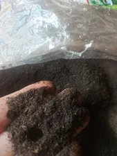 تجریه خرید چای سیاه ایرانی شکسته درجه یک میثم - 1000 گرم