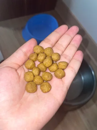 غذای خشک سگ سلبن مدل 1002 Small Adult وزن 2 کیلوگرم