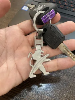 جاسوئیچی پریمیوم طرح Peugeot