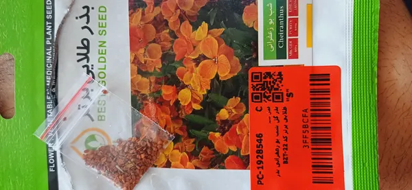 عکس ارسالی خریدار