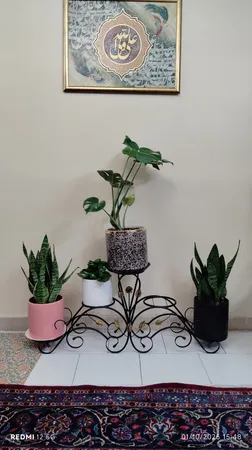 استند گلدان مدل فلوریا