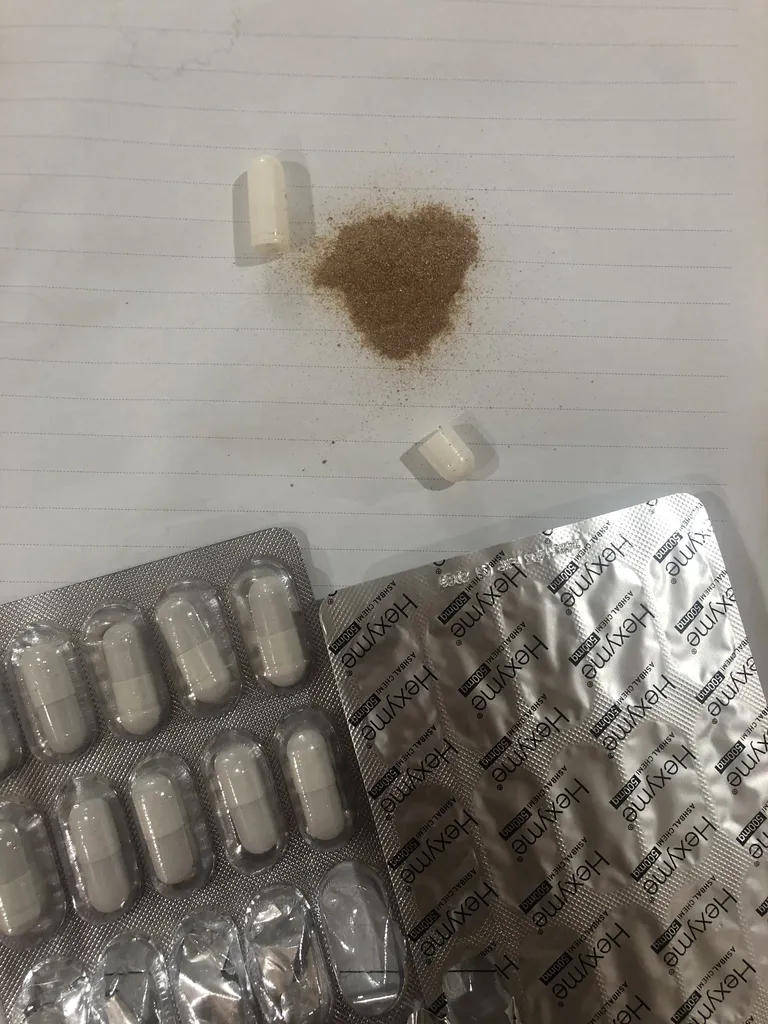 کپسول هگزایم اشبال شیمی-500 میلی گرم  بسته 30 عددی