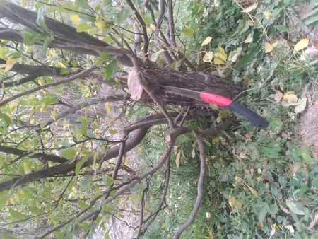 اره رونیکس مدل RH-3607