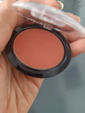 رژ گونه آلپین شماره 06