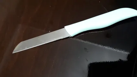 چاقو آشپزخانه فاردینوکس مدل Berlini 01