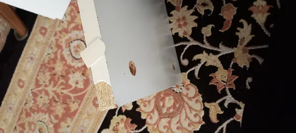 عکس ارسالی خریدار
