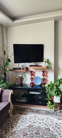 پایه دیواری تلویزیون سرافراز مدل W6 مناسب برای تلویزیون های 40 تا 60 اینچ